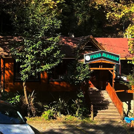place image