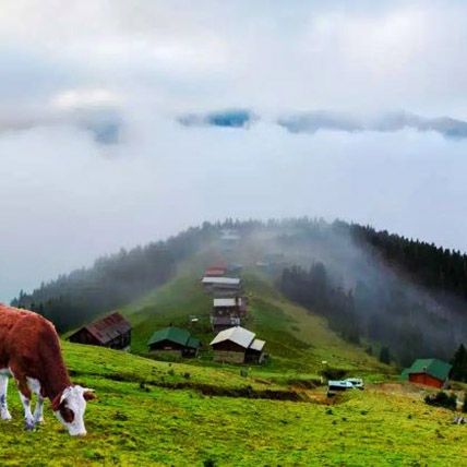 place image
